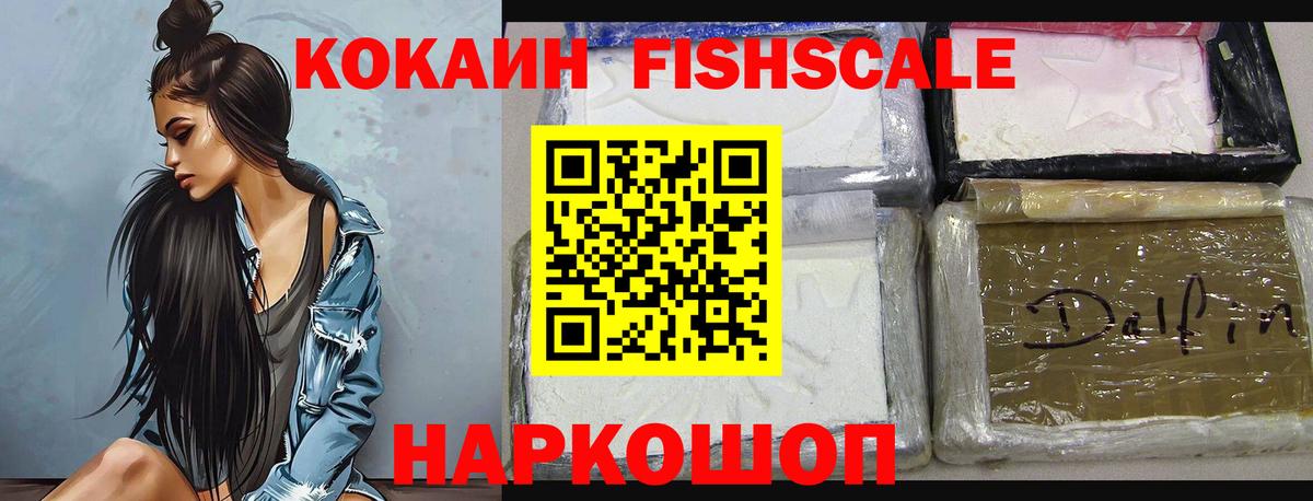 Cocaine Fish Scale  Вход с VPN  COCAIN Fish Scale  Каменск-Уральский 