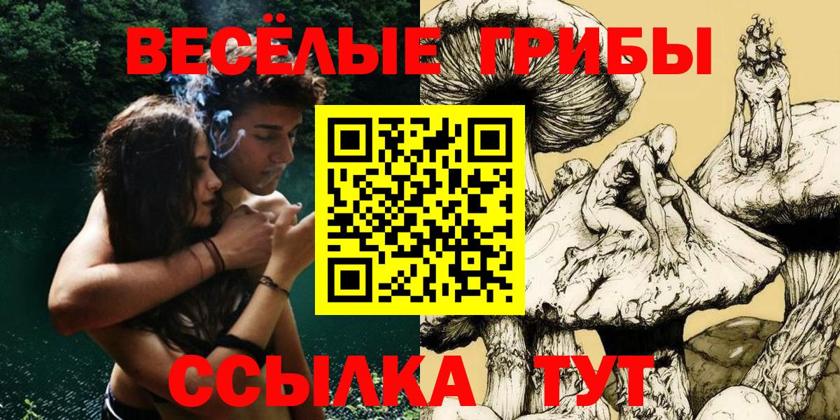 Галлюциногенные грибы MAGIC MUSHROOMS  как найти   Каменск-Уральский  Вход с VPN  Псилоцибиновые грибы Psilocybine cubensis 
