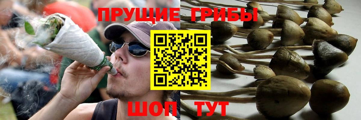Галлюциногенные грибы MAGIC MUSHROOMS Каменск-Уральский